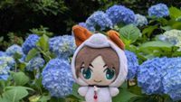 えれわん
