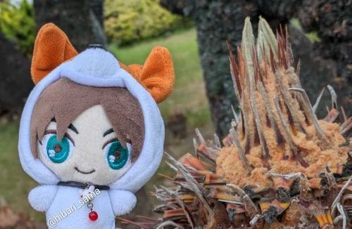 何かもふもふしてた
人間は虫に怯えて変な動きしてた