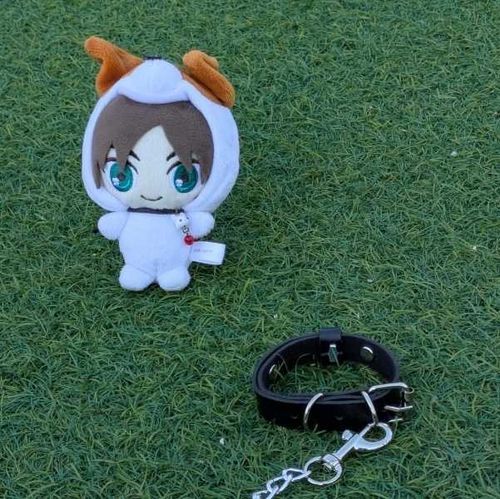 わんこは首輪とかしらない
しないのも自由だから

おしゃれで首輪してるわんこもいる
するのも自由