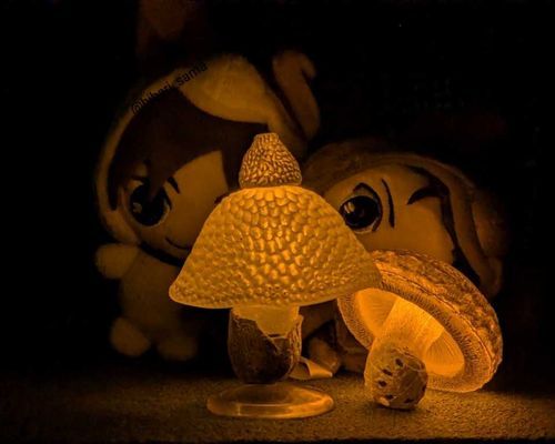 光る🍄買ってもらった😆