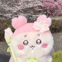 かにちゃん