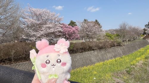 お散歩❀.*ﾟ