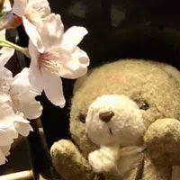 ここっち