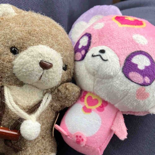 あたらしいかぞくがふえました。
ぽちたん