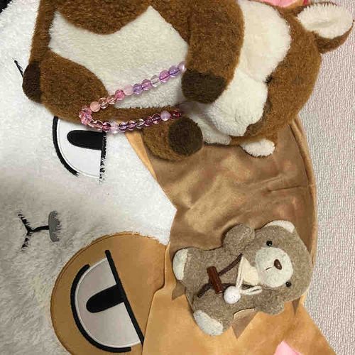 きょうはけんまねこくんがいるおうちにおとまりにきたよ！まだもうひとり？くろおねこくんがいるんだって