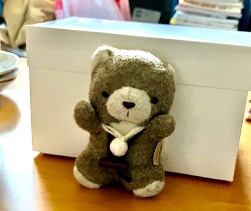 しろいほうせきばこの番人、ここちゃん