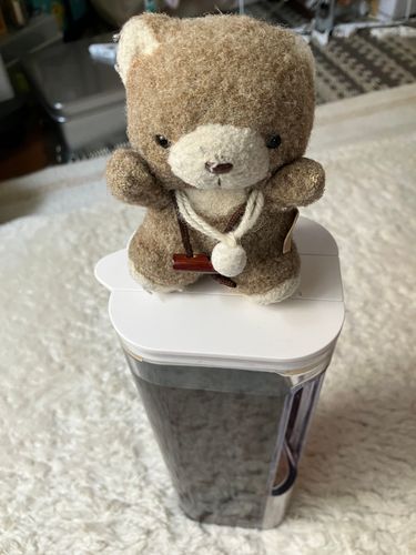 さいきんあるじさんのちょうしがよくなくておうちにいることがおおいんだ。すいぶんほきゅうはたいせつに、だね