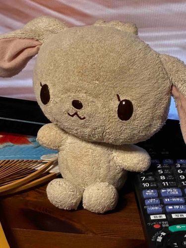 筋トレ監督うさちゃん