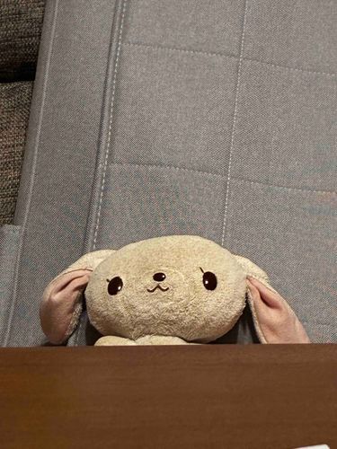明後日の方向ガン見うさちゃん