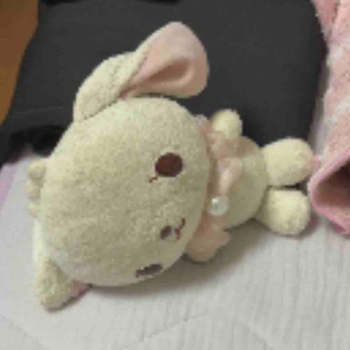 がびがびうさちゃん