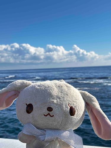 うさちゃん、いい顔！