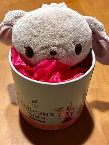 新しいお風呂🍓うさちゃん