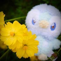むょ