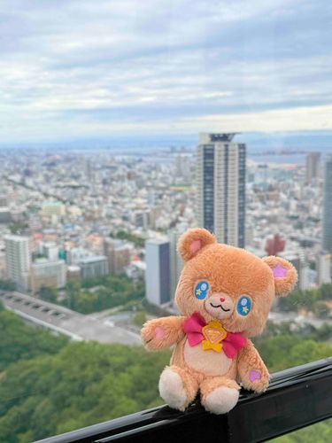 ロープウェイに乗ったモフ🧸🚠