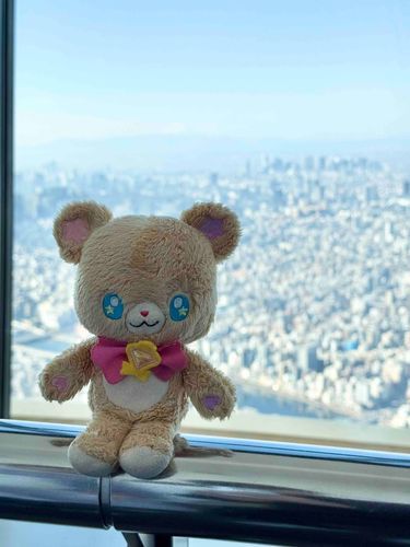 スカイツリーに登ったモフ！🗼