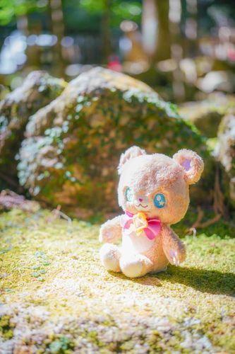 久しぶりにお出かけしてきたモフ🧸