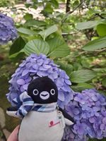 ぐりりん
