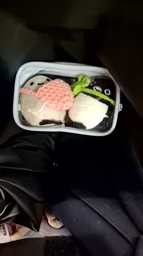 今日も朝から一緒に！
電車のなかだからカバンのなかで静かにしてるよ