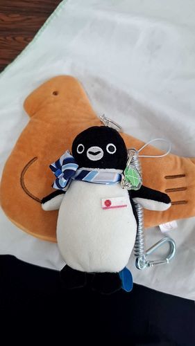 今日はハトさんの日です✨