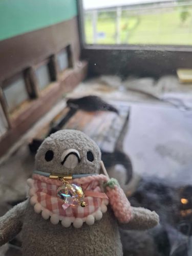 カワウソさん発見！