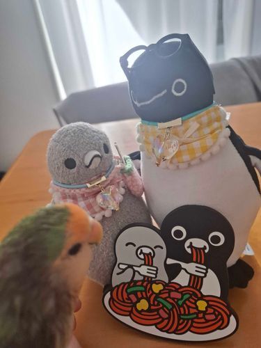 おみやげにコースターもらったよ
かわいいね