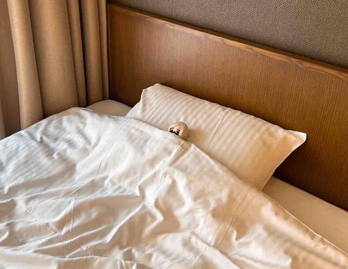 皆さんこんにちは。
元気でしたか？オレは普通です。
最近のオレは、ヤツにウェルネスホテルへ連れて行ってもらいましたよ。
岩盤浴、と聞いてオレは嫌な気持ちになりました。汗をかくのは嫌いなので。
勝手に行ってきてください。オレは、部屋で寝ていますから。