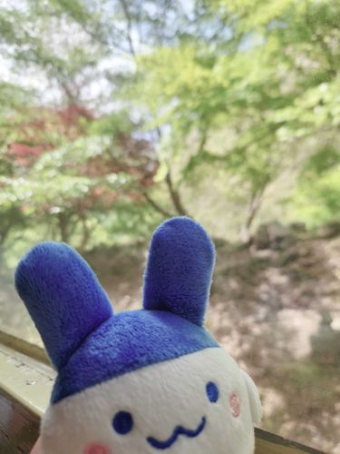みみっちだぴょん:з
トロッコに乗ったぴょん:з