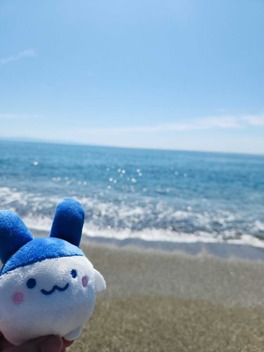 海に行ったぴょん:з
綺麗だったぴょん:з