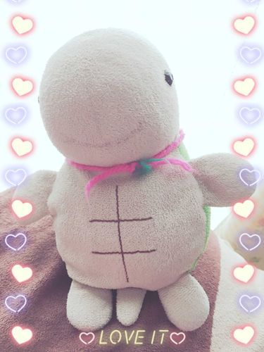 はじめてみました

小学生の頃から一緒の亀、「きがめ」の写真を上げていこうと思います🐢

よろしくお願いいたします！