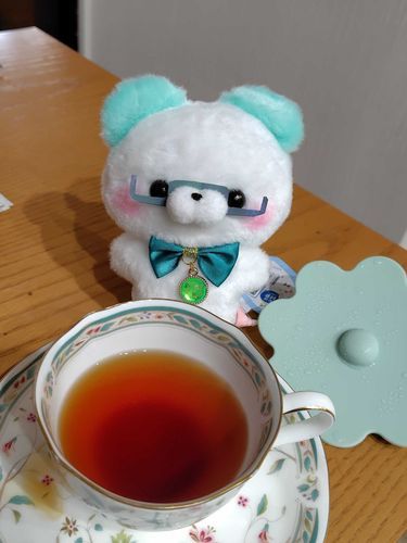 これは去年の冬、私がまだ執事になる前…。
まずメガネを頂いたんでしたね👓️