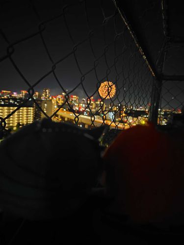 花火を見せてあげる