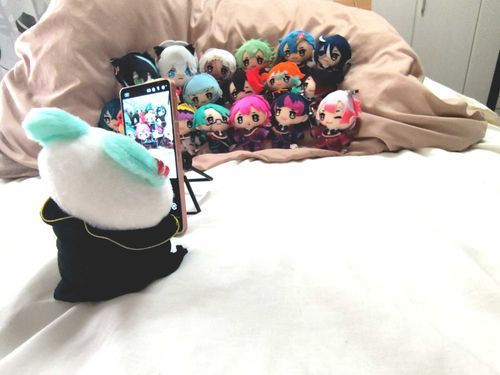 🔑🐻「目線、レンズでおねがいします
3,2,1……は～い」