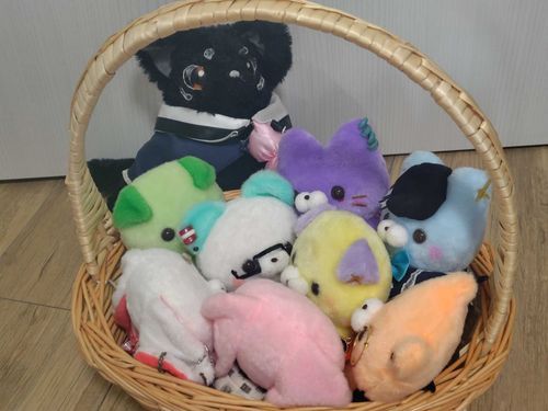 🍽️🐶、帰ってきました😭😭😭😭😭
遺失物届も取り下げたりします🙇
大事にします😭😭😭😭😭