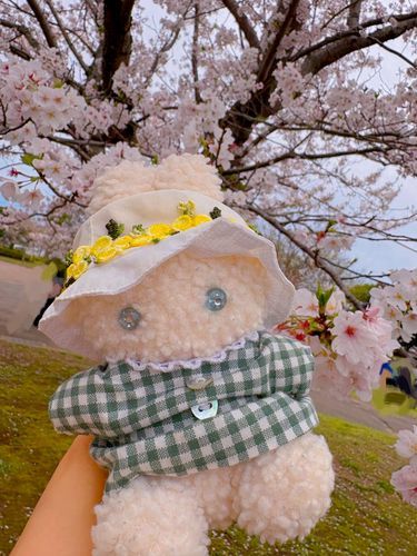 おはなみ いってきたの🌸
ことしもきれいだった✨️