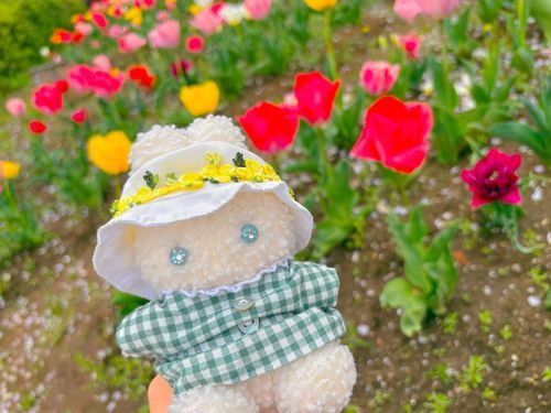 チューリップばたけ かわいくてだいすき🌷