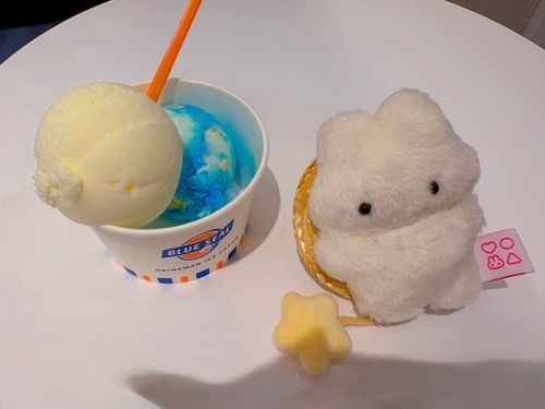 おすすめされた アイスクリームやさんに いってきたよ🍨🤍
さわやかなおあじで あつさがふきとんじゃった！