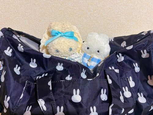おおきな ボストンバッグにはいってしゅっぱつだ〜！👜