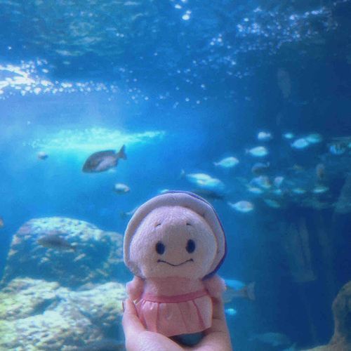 ｵｲの実家