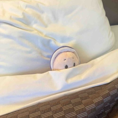 ｵｲねんね