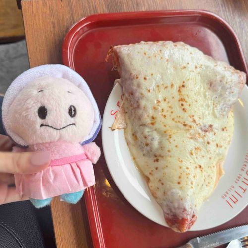 ｵｲが寝れそうなくらいおっきいピザ