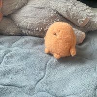 コロ助