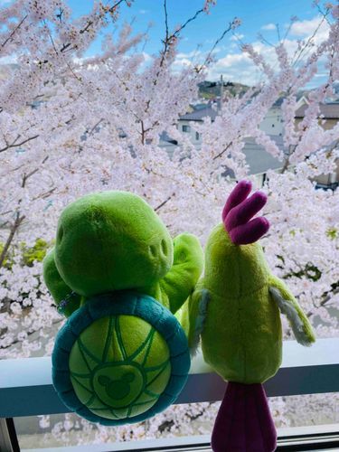 カメともまぁまぁ仲良いﾍﾟ