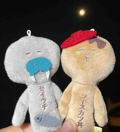 お月様とのツーショット🌕
今日は満月だね☆