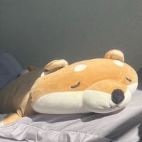 犬