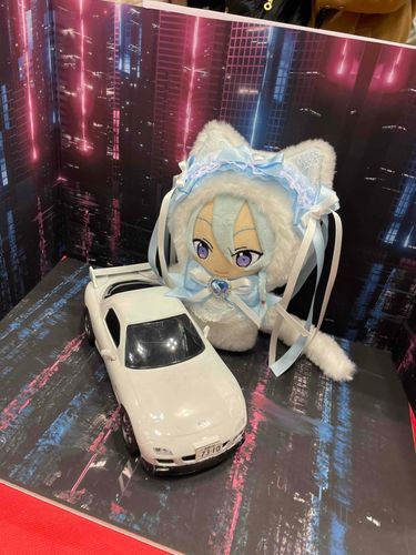 夢のマイカーだにゃん