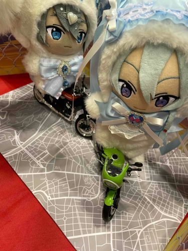 盗んだバイクで走っていたら坊主にされたのにゃ