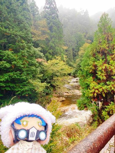雨上がりの山のいい匂いだね🗻🍂