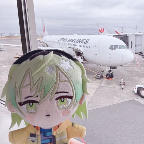 今週も出張だよ〜✈️