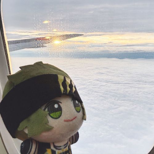 雲が絨毯みたいだね☁️