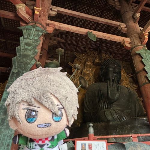 東大寺の大仏さま見てきたよ〜
盧舎那仏っていうんだって🧐